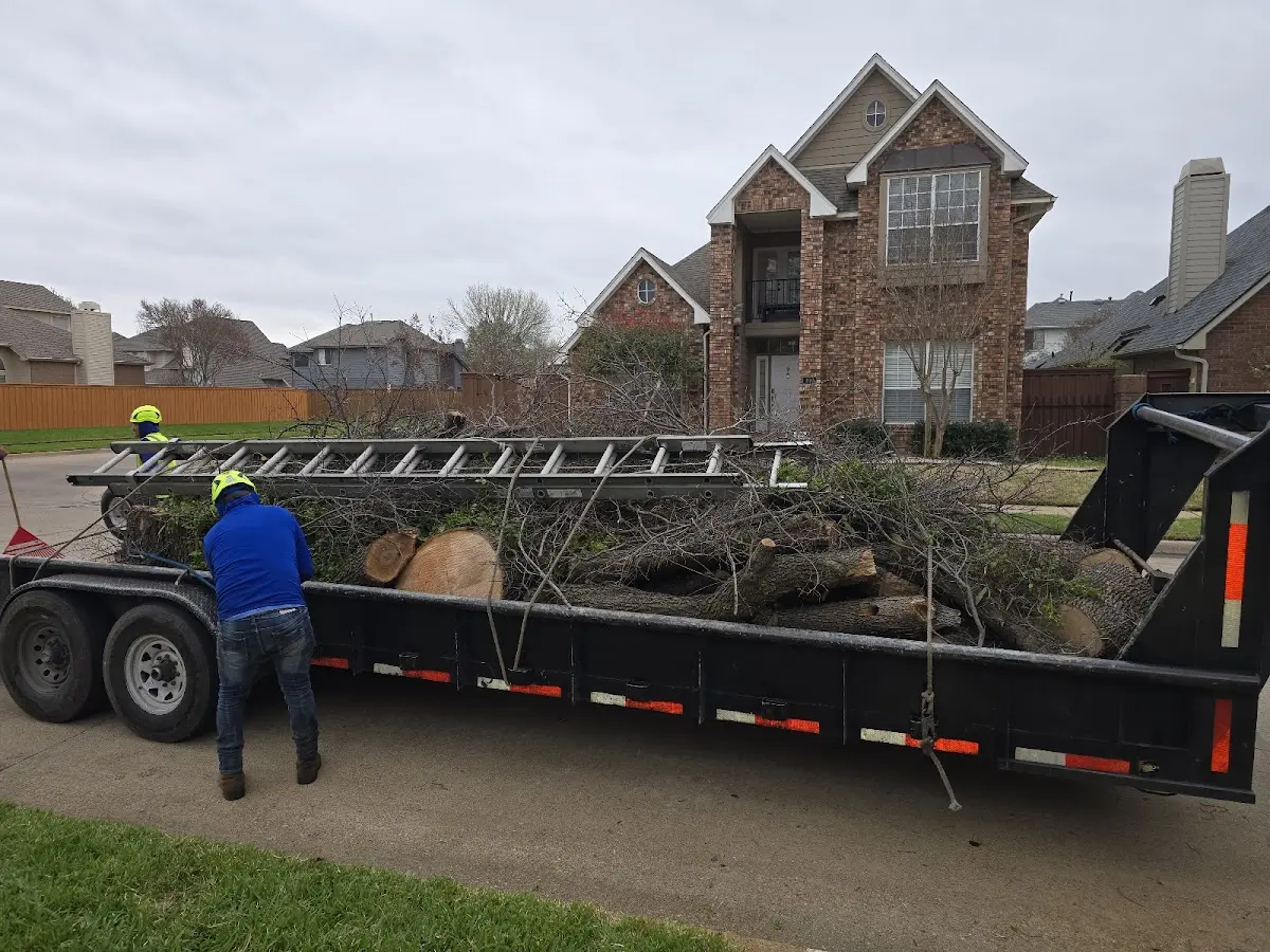 Expert Crown Reduction with proper safety equipment in Youngsville